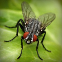 /album/csak-lanyoknak/photolia-a01-jpg/