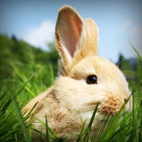 /album/csak-lanyoknak/photolia-a03-jpg/