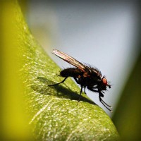 /album/csak-lanyoknak/photolia-a04-jpg/