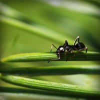 /album/csak-lanyoknak/photolia-a05-jpg/