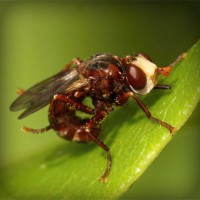 /album/csak-lanyoknak/photolia-a06-jpg/